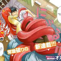 no iru nichijou (monster girls)