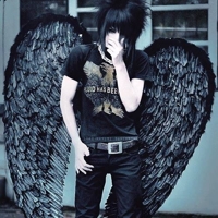 shadowalexwd