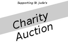 Charity Auction