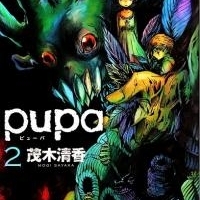 Pupa